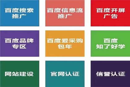 SEM竞价优化案例：品牌曝光与转化双提升